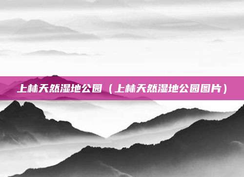上林天然湿地公园（上林天然湿地公园图片）