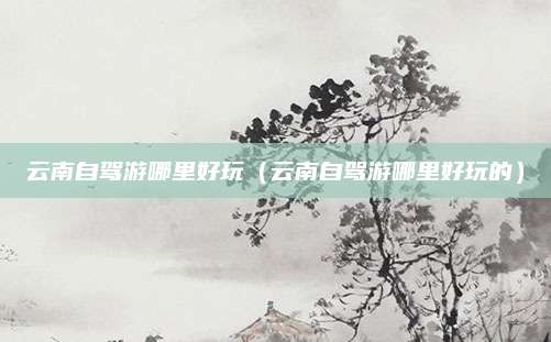 云南自驾游哪里好玩（云南自驾游哪里好玩的）