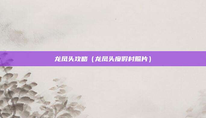 龙凤头攻略（龙凤头度假村照片）