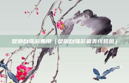 昆明自驾游费用(昆明自驾游最美线路图)