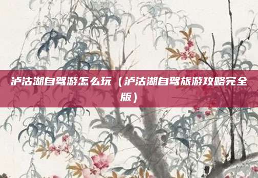 泸沽湖自驾游怎么玩(泸沽湖自驾旅游攻略完全版)