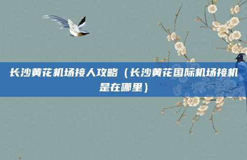 长沙黄花机场接人攻略（长沙黄花国际机场接机是在哪里）