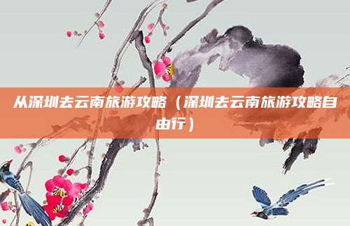 从深圳去云南旅游攻略(深圳去云南旅游攻略自由行)