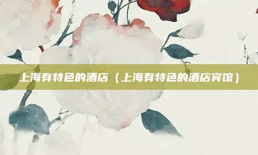 上海有特色的酒店(上海有特色的酒店宾馆)