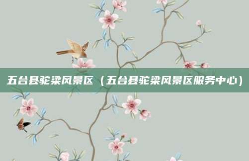 五台县驼梁风景区(五台县驼梁风景区服务中心)