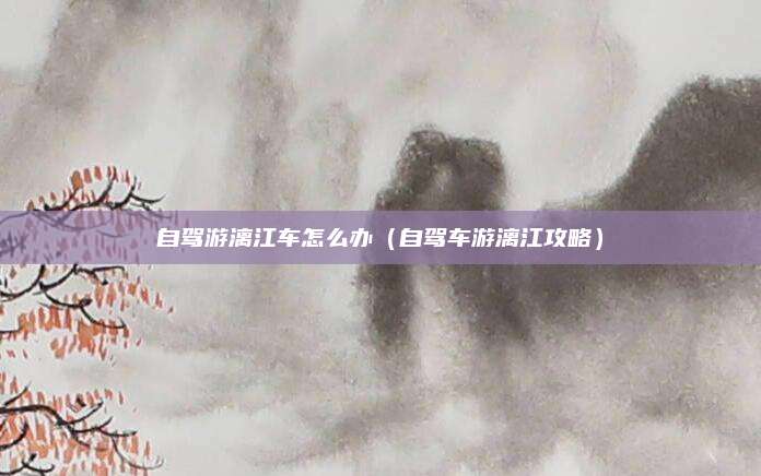 自驾游漓江车怎么办（自驾车游漓江攻略）