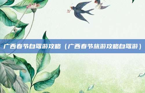 广西春节自驾游攻略（广西春节旅游攻略自驾游）