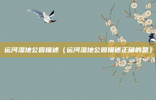 运河湿地公园描述(运河湿地公园描述正确的是)