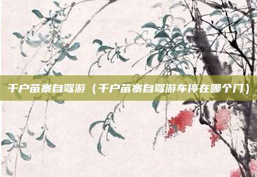 千户苗寨自驾游（千户苗寨自驾游车停在哪个门）