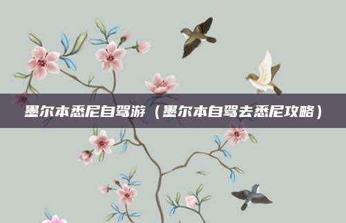 墨尔本悉尼自驾游(墨尔本自驾去悉尼攻略)