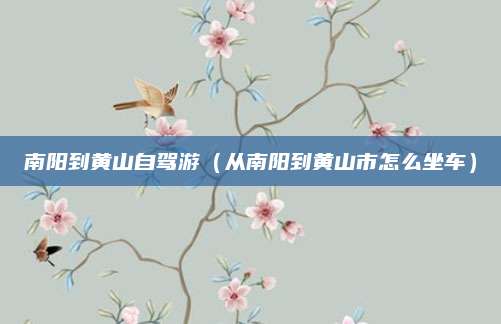 南阳到黄山自驾游(从南阳到黄山市怎么坐车)