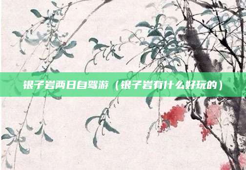 银子岩两日自驾游(银子岩有什么好玩的)