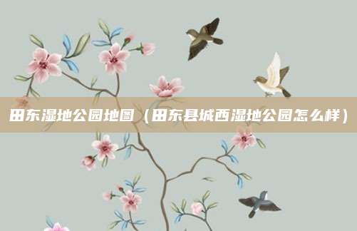 田东湿地公园地图(田东县城西湿地公园怎么样)