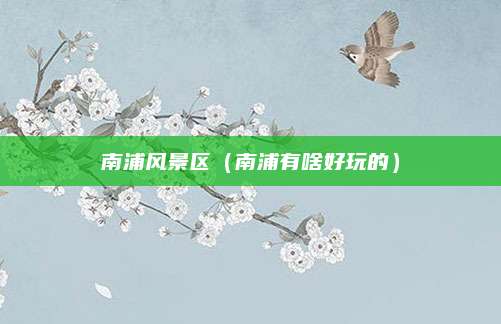 南浦风景区(南浦有啥好玩的)