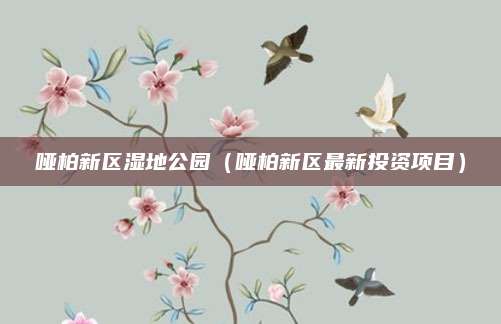 哑柏新区湿地公园(哑柏新区最新投资项目)