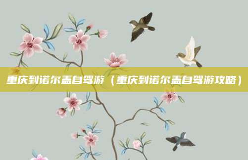 重庆到诺尔盖自驾游(重庆到诺尔盖自驾游攻略)