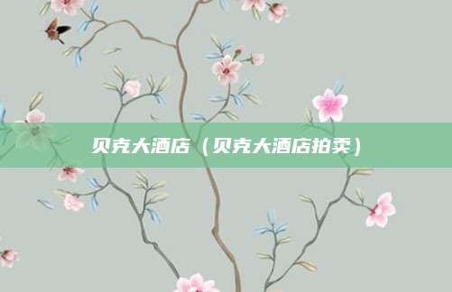 贝克大酒店（贝克大酒店拍卖）