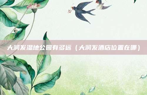 大润发湿地公园有多远(大润发酒店位置在哪)