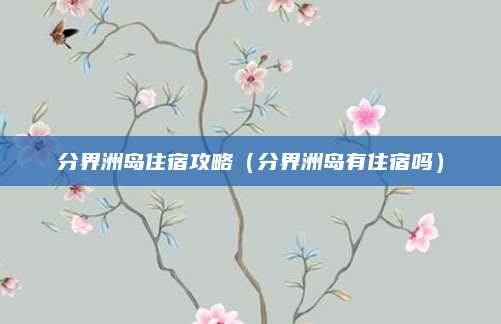 分界洲岛住宿攻略（分界洲岛有住宿吗）
