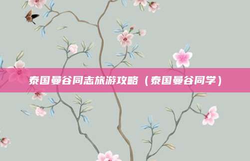 泰国曼谷同志旅游攻略(泰国曼谷同学)