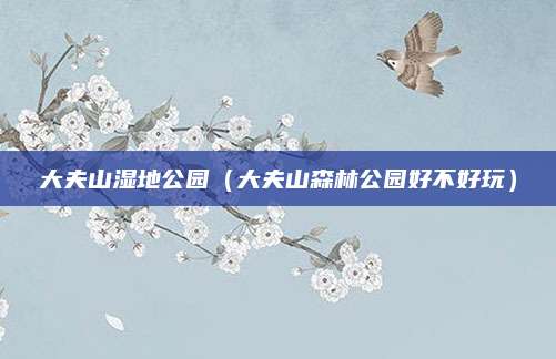 大夫山湿地公园(大夫山森林公园好不好玩)