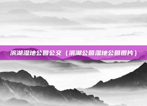 滨湖湿地公园公交（滨湖公园湿地公园图片）