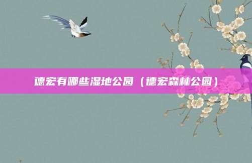德宏有哪些湿地公园（德宏森林公园）