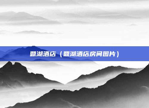 鼎湖酒店(鼎湖酒店房间图片)