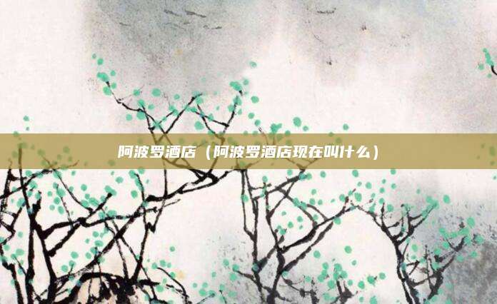 阿波罗酒店(阿波罗酒店现在叫什么)