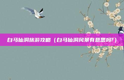 白马仙洞旅游攻略(白马仙洞风景有意思吗?)
