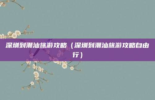 深圳到潮汕旅游攻略(深圳到潮汕旅游攻略自由行)