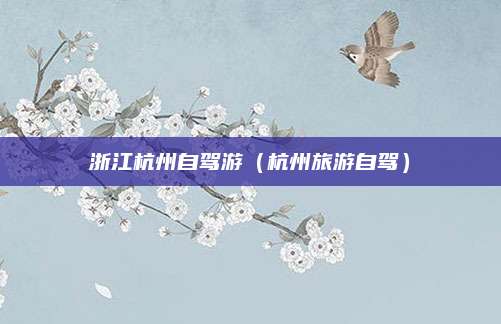浙江杭州自驾游(杭州旅游自驾)