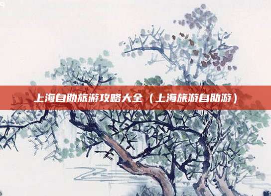 上海自助旅游攻略大全(上海旅游自助游)
