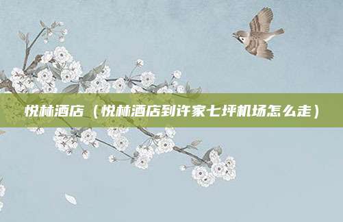 悦林酒店（悦林酒店到许家七坪机场怎么走）