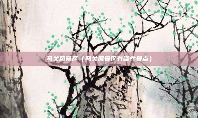马关风景区(马关风景区有哪些景点)