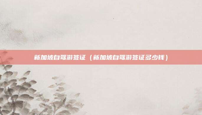 新加坡自驾游签证（新加坡自驾游签证多少钱）