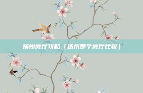扬州舞厅攻略（扬州哪个舞厅比较）