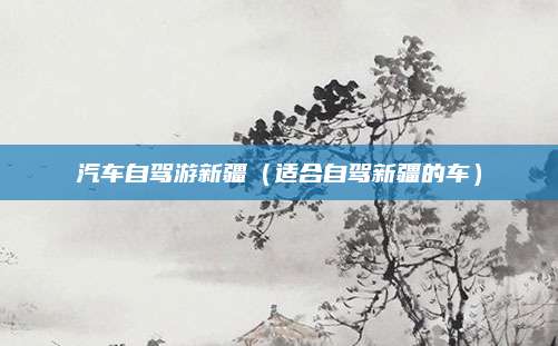 汽车自驾游新疆（适合自驾新疆的车）