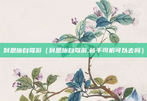 到恩施自驾游（到恩施自驾游,新手司机可以去吗）
