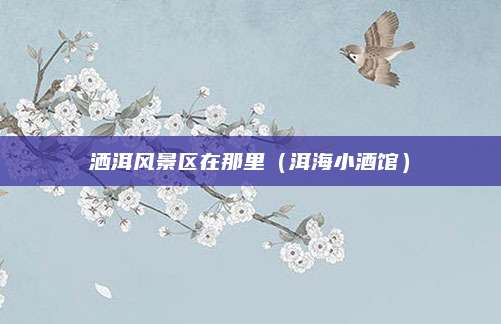 洒洱风景区在那里(洱海小酒馆)