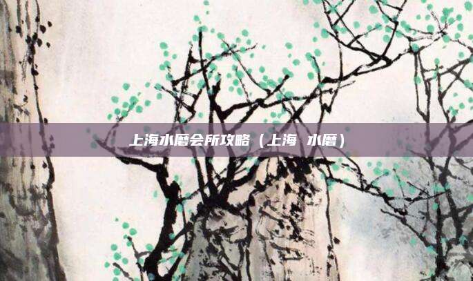 上海水磨会所攻略(上海 水磨)