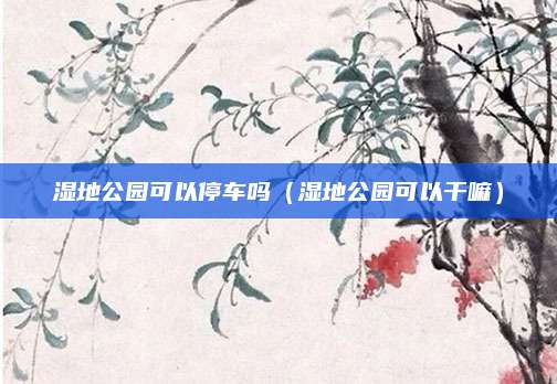 湿地公园可以停车吗(湿地公园可以干嘛)