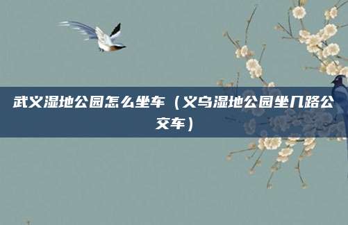 武义湿地公园怎么坐车（义乌湿地公园坐几路公交车）
