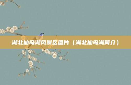 湖北仙岛湖风景区图片(湖北仙岛湖简介)