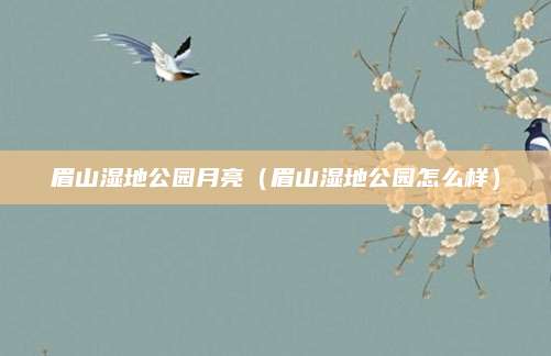 眉山湿地公园月亮(眉山湿地公园怎么样)