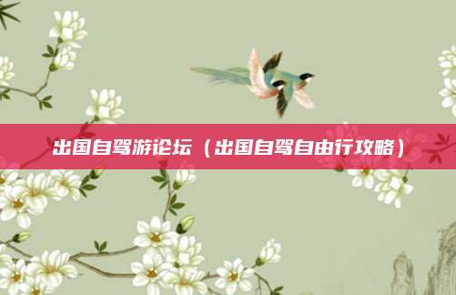 出国自驾游论坛（出国自驾自由行攻略）