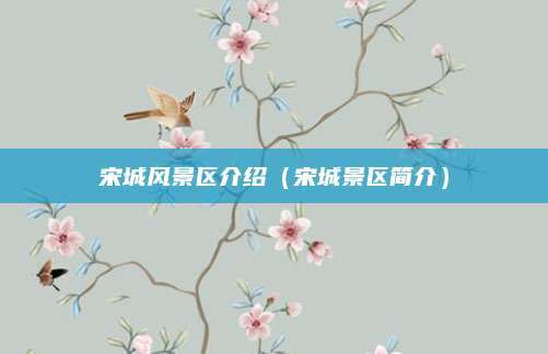 宋城风景区介绍(宋城景区简介)