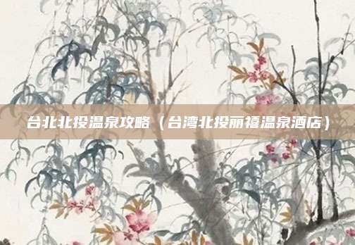 台北北投温泉攻略(台湾北投丽禧温泉酒店)
