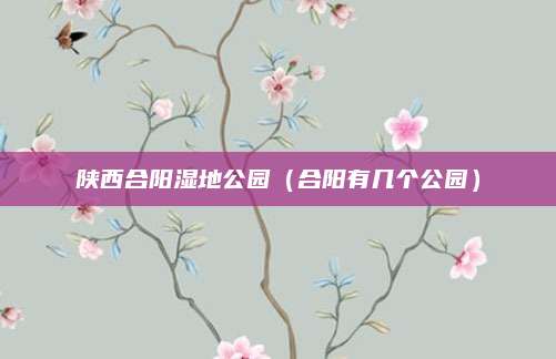 陕西合阳湿地公园(合阳有几个公园)