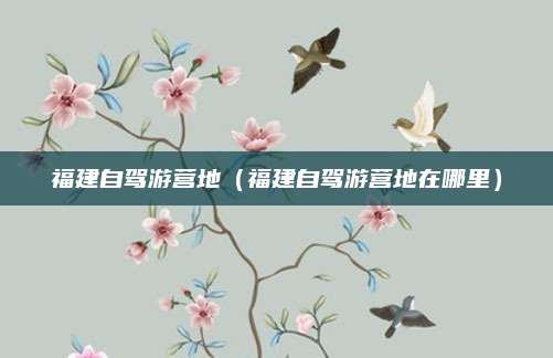 福建自驾游营地（福建自驾游营地在哪里）